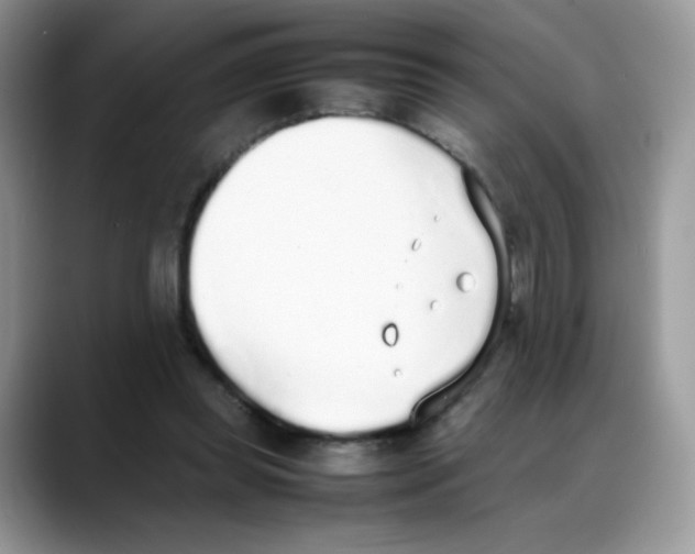 X0000088150349200706111447