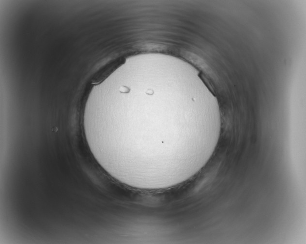 X0000088150352200706111447