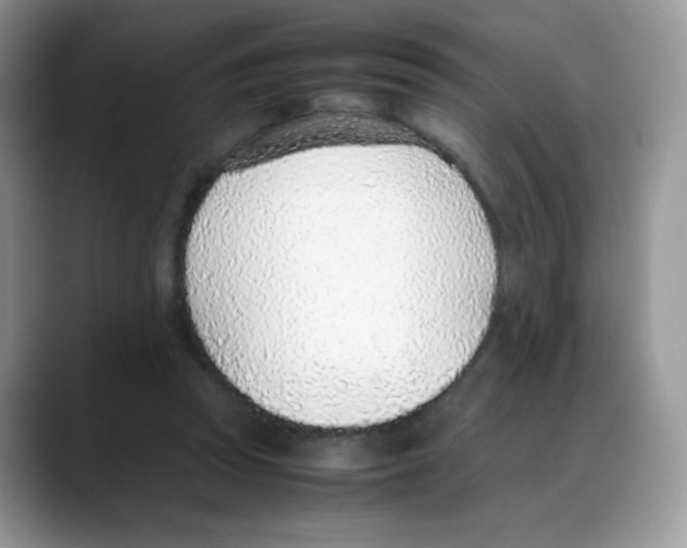 X0000088150353200706111447