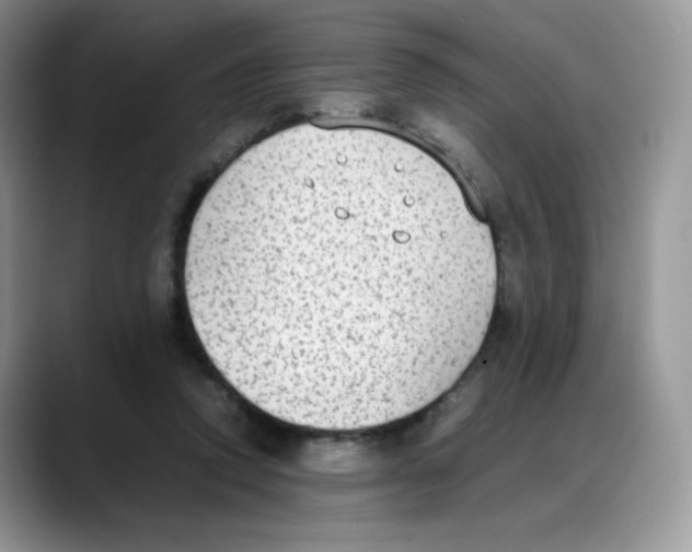 X0000088150354200706111447