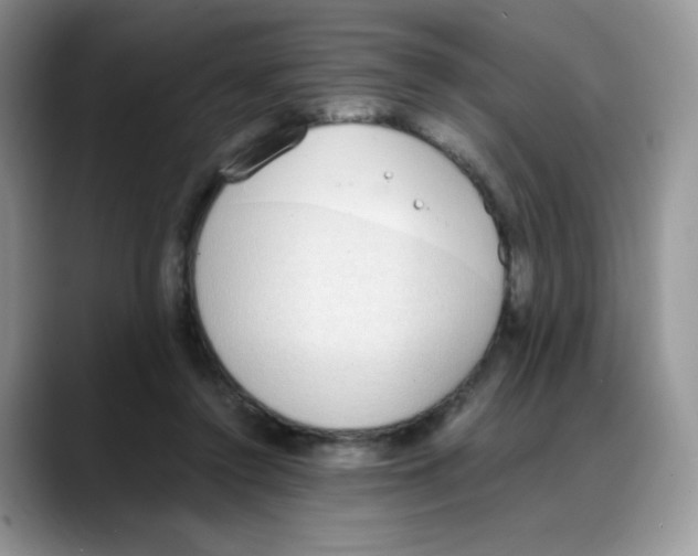 X0000088150356200706111447