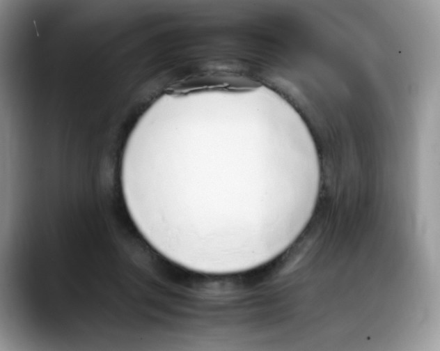 X0000088150357200706111447