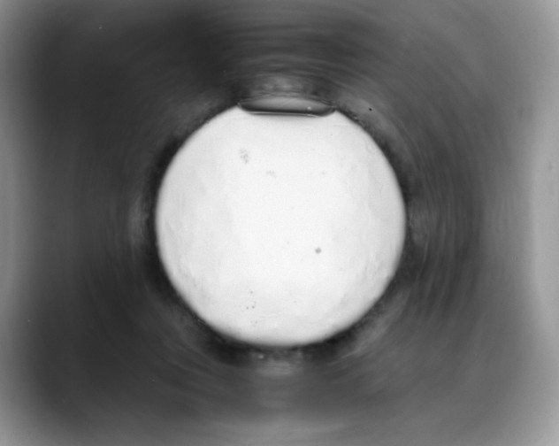 X0000088150359200706111447