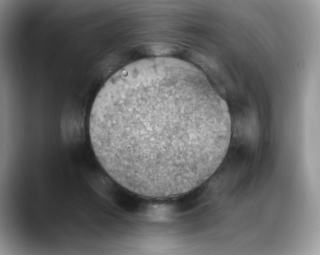 X0000088150360200706111447