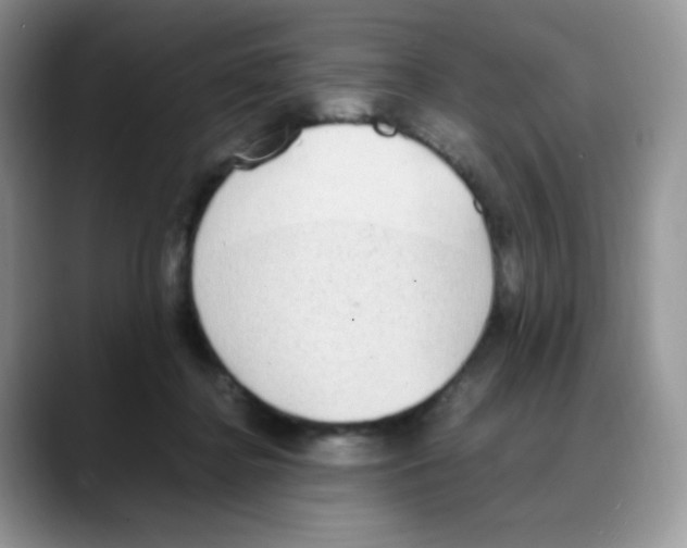 X0000088150364200706111447