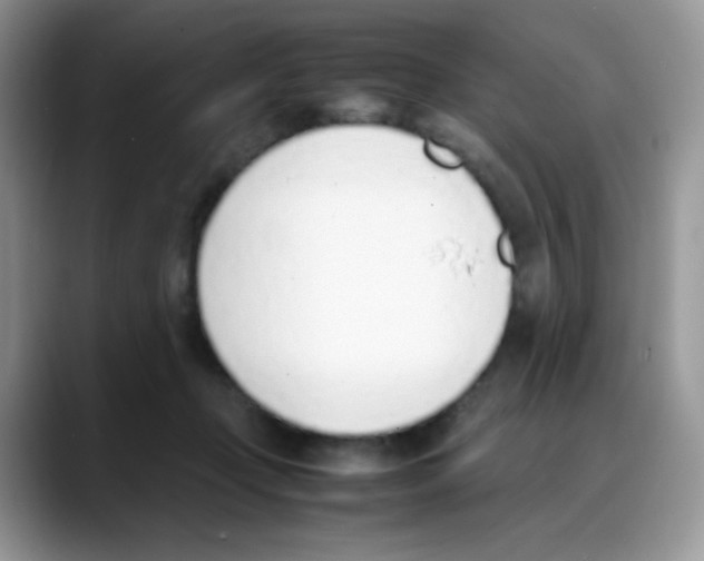 X0000088150365200706111448