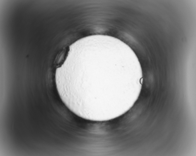 X0000088150366200706111448