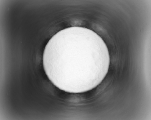 X0000088150367200706111448