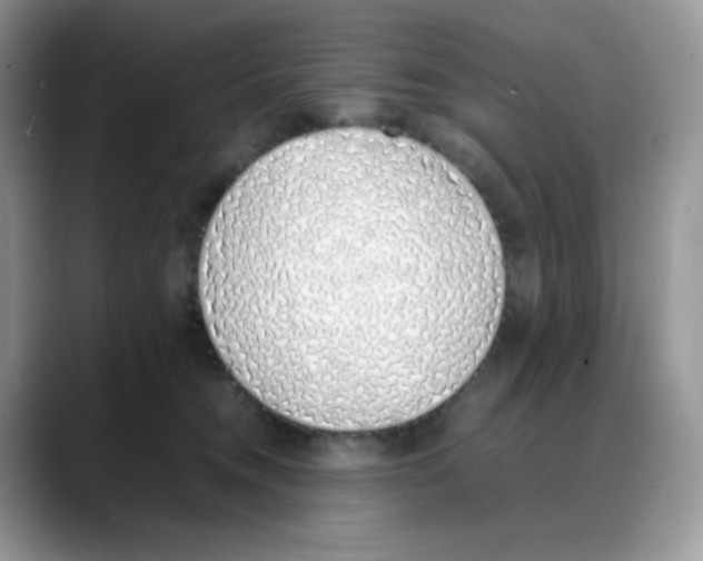 X0000088150372200706111448