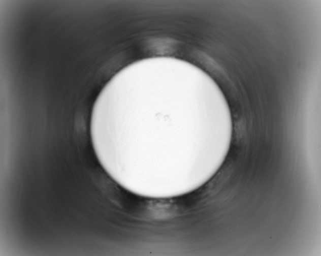 X0000088150373200706111448