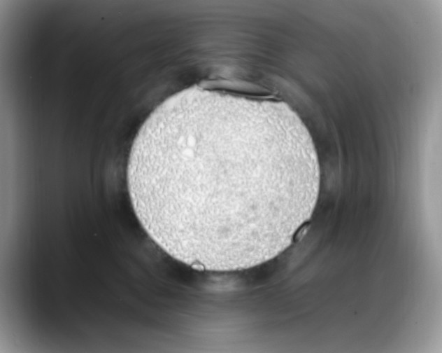 X0000088150376200706111448