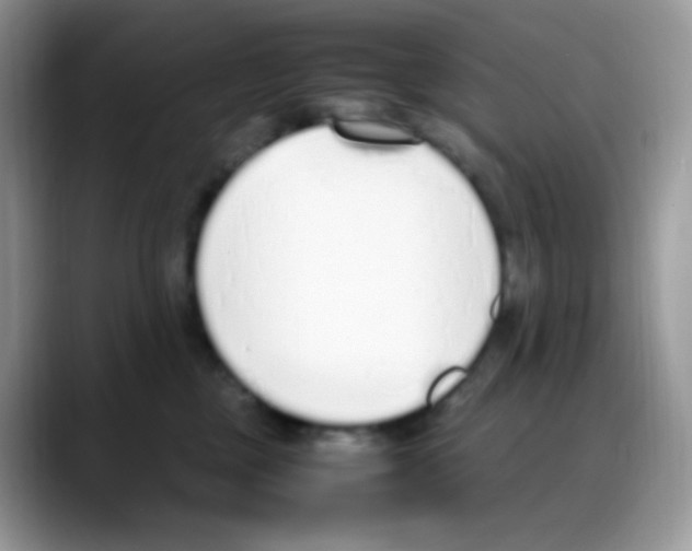 X0000088150377200706111448