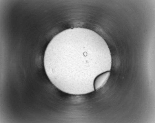 X0000088150378200706111448