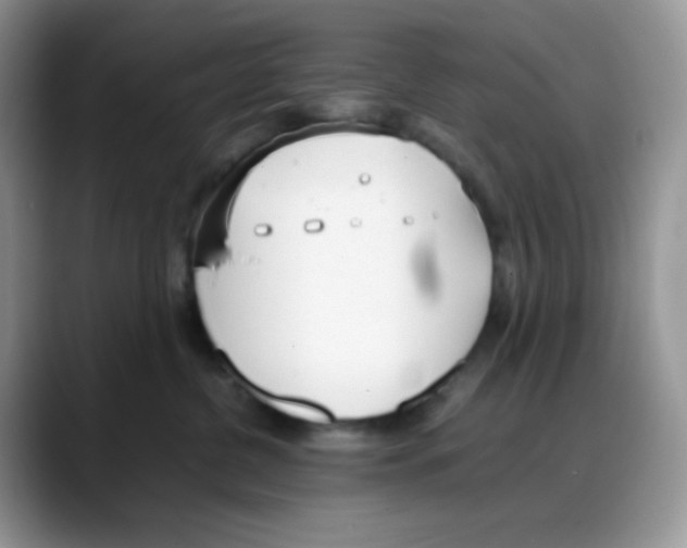 X0000088150380200706111448