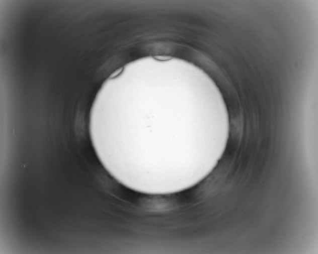 X0000088150381200706111448