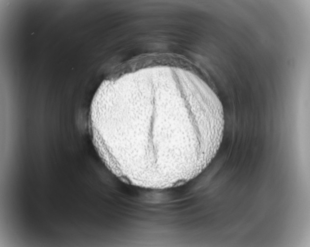 X0000088150383200706111448