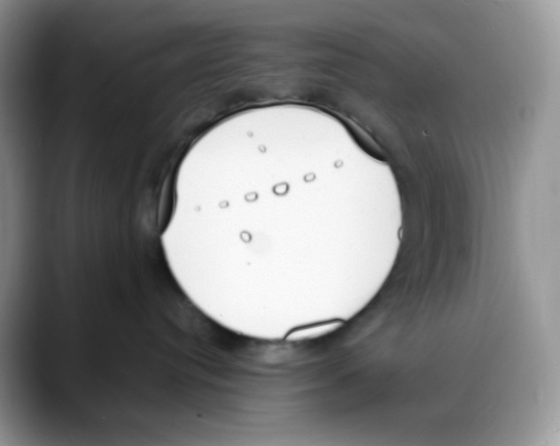 X0000088150384200706111448