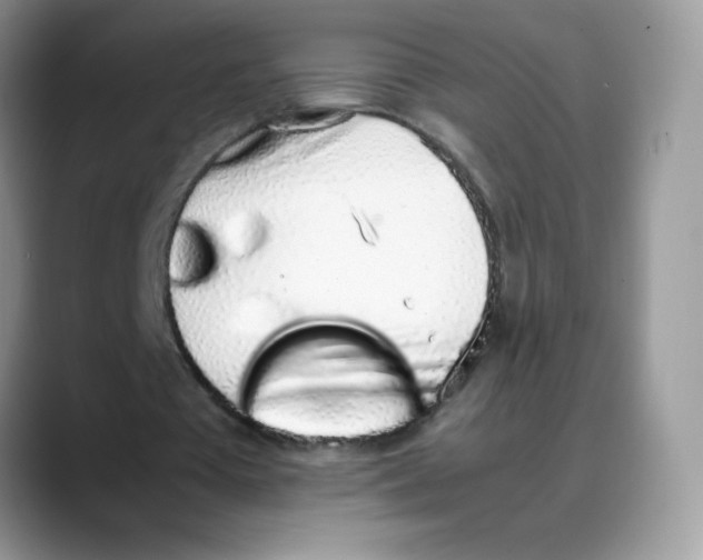 X0000088150385200706111447