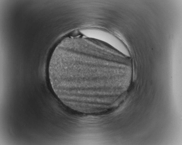 X0000088150387200706111447