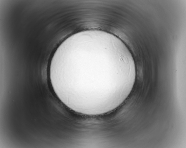 X0000088150390200706111447