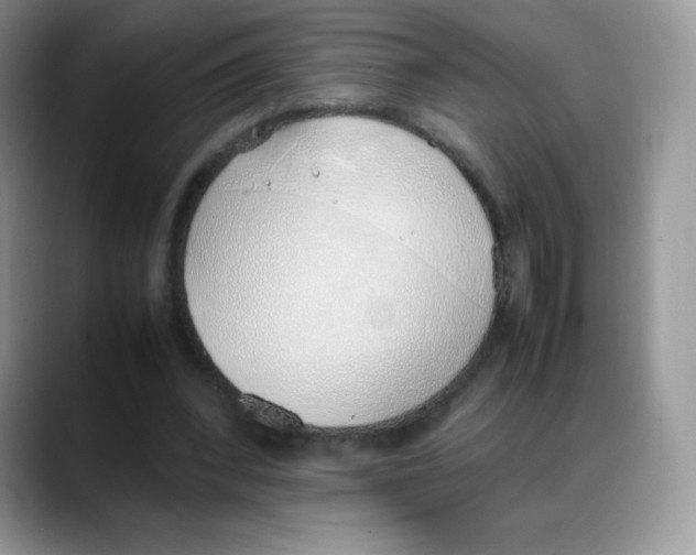 X0000088150392200706111447