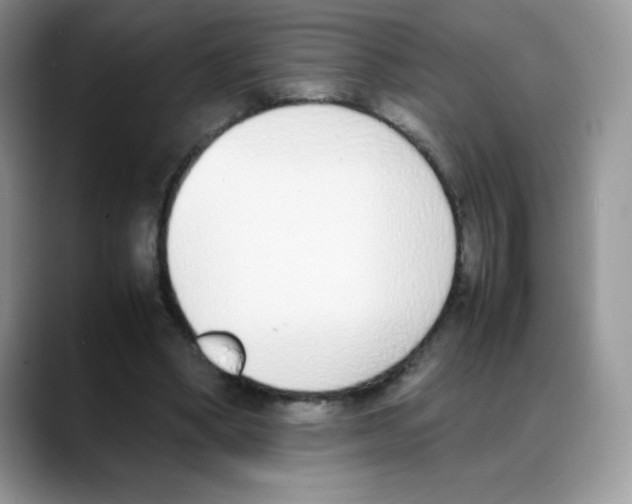 X0000088150394200706111447