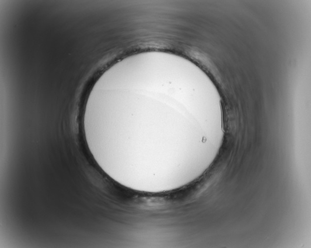 X0000088150395200706111447