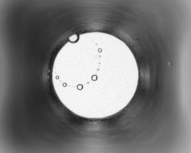 X0000088150396200706111447