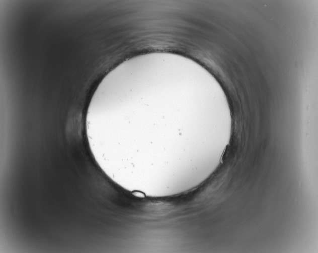 X0000088150397200706111447