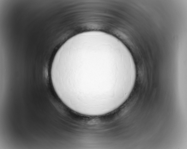 X0000088150398200706111447