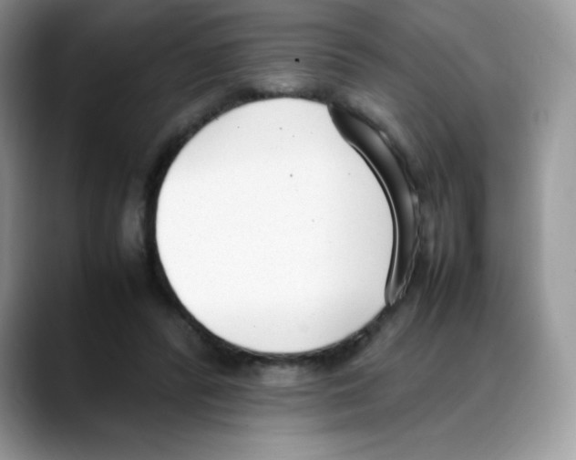 X0000088150400200706111447