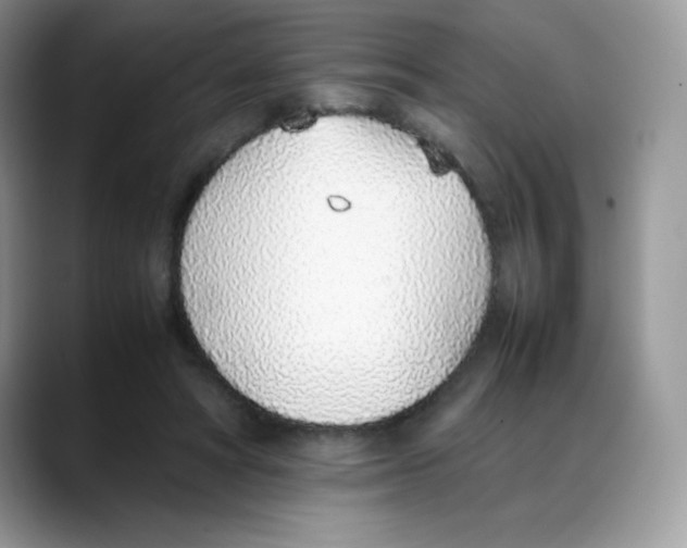 X0000088150402200706111447