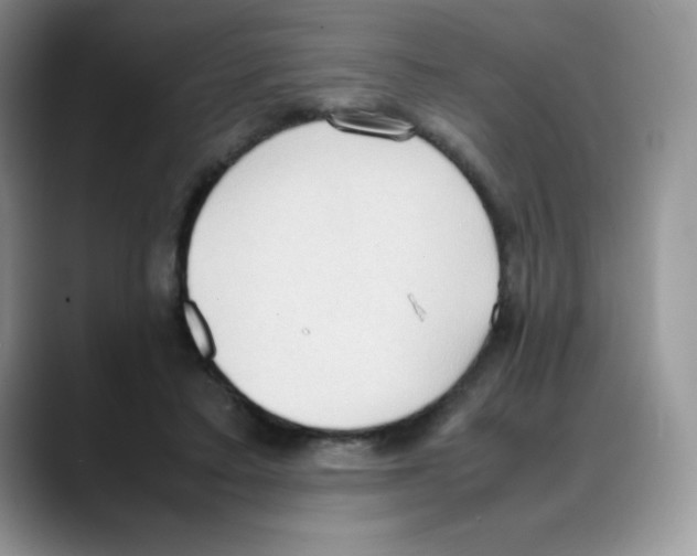 X0000088150403200706111447