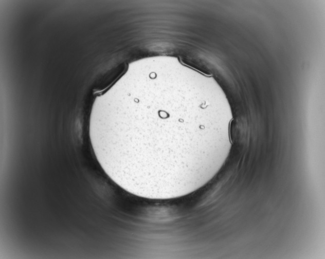 X0000088150404200706111447