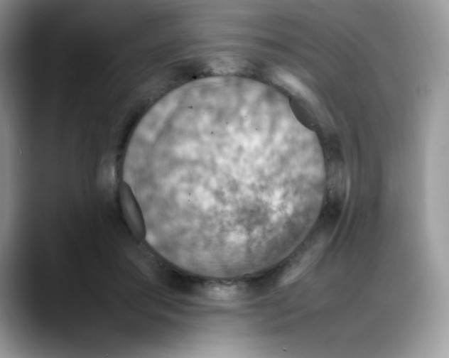 X0000088150405200706111447