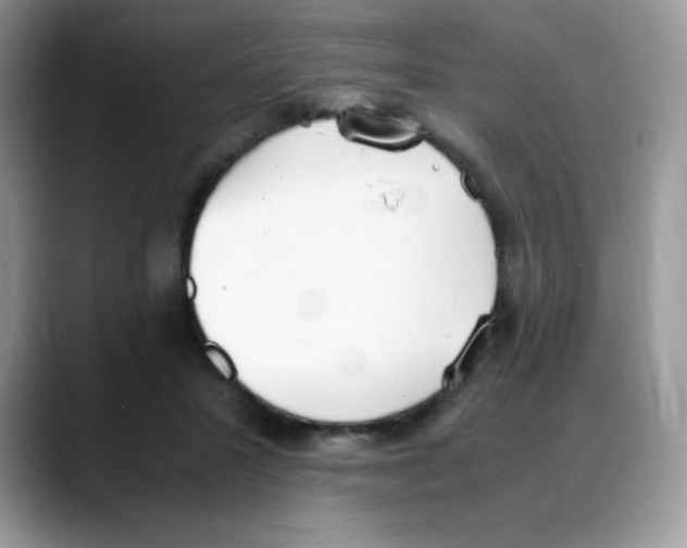 X0000088150407200706111447