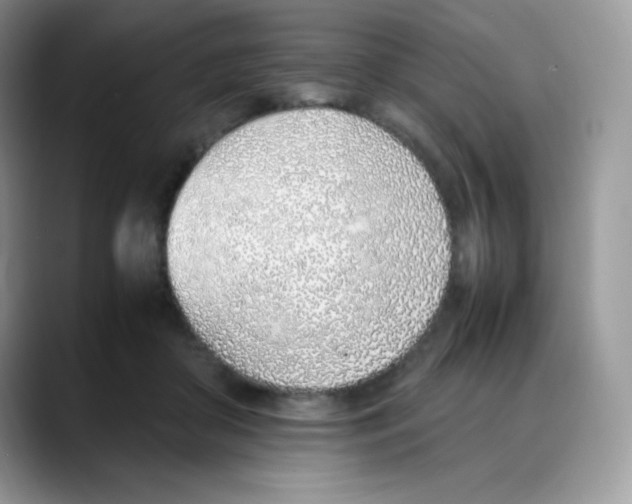 X0000088150410200706111447