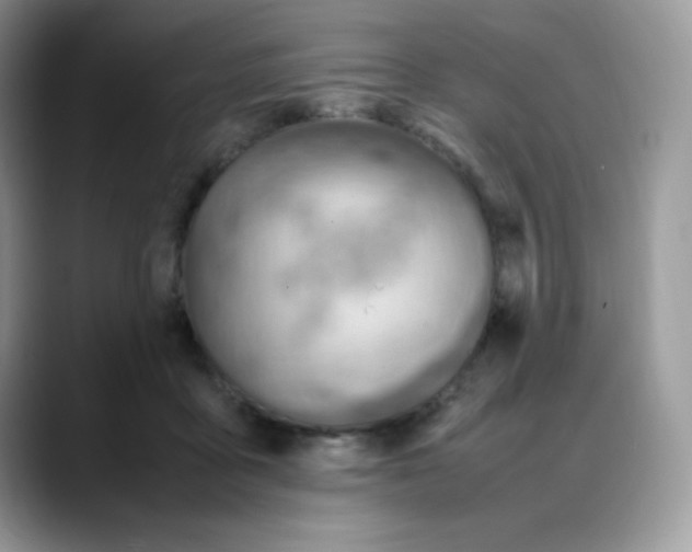 X0000088150411200706111447