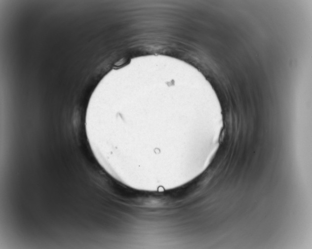 X0000088150412200706111447