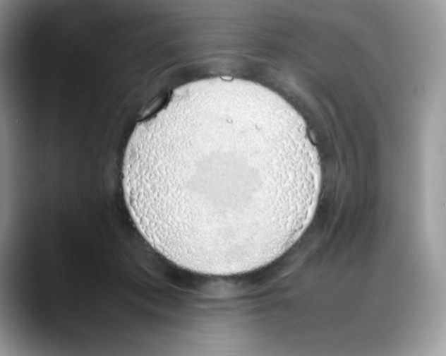 X0000088150413200706111447