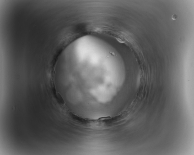 X0000088150415200706111447