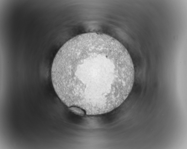 X0000088150417200706111447