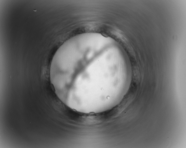 X0000088150419200706111447