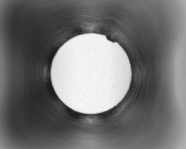 X0000088150420200706111447