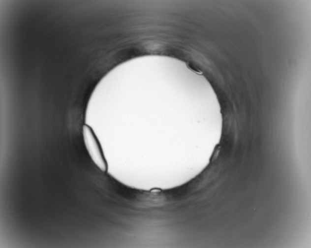 X0000088150421200706111447