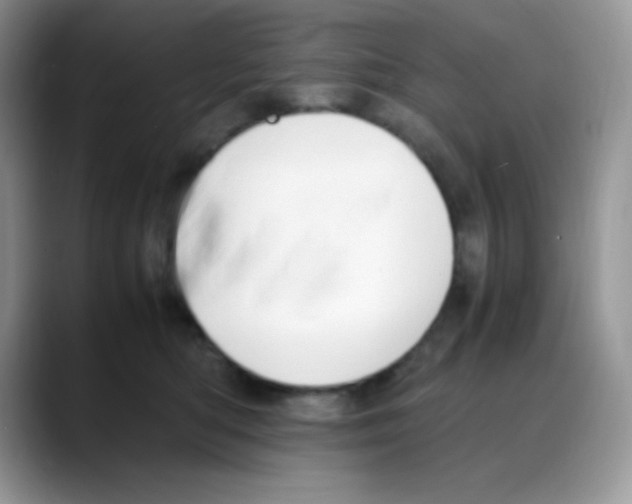 X0000088150422200706111447