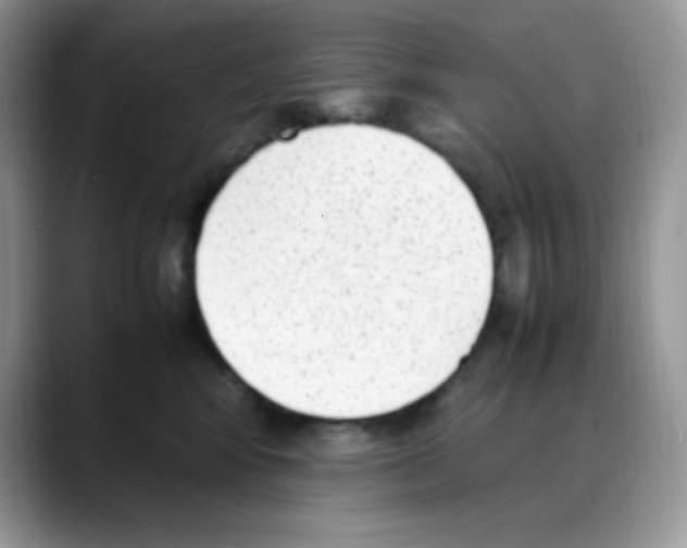 X0000088150424200706111447