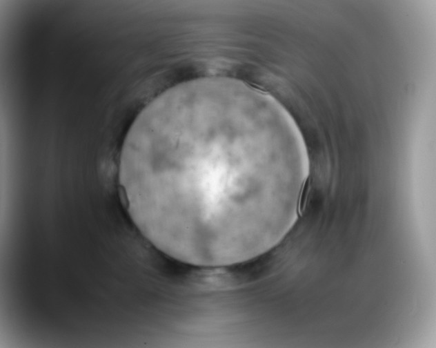 X0000088150427200706111447