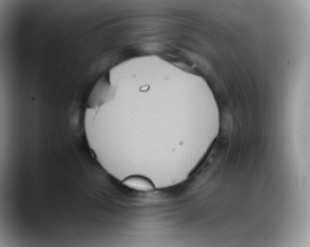 X0000088150428200706111447