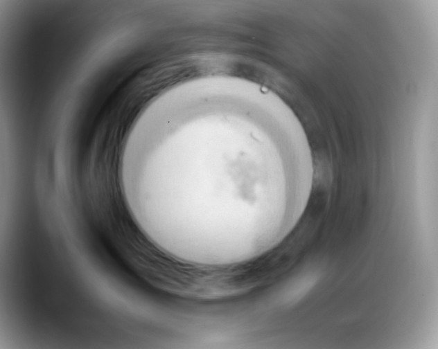 X0000088150431200706111447